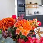 Apartment Veldt's Limmen