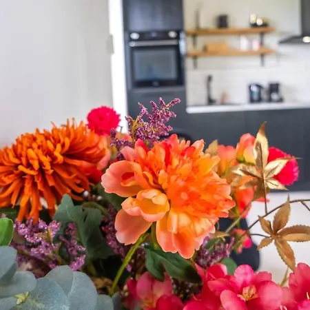 Apartmán Veldt's Limmen