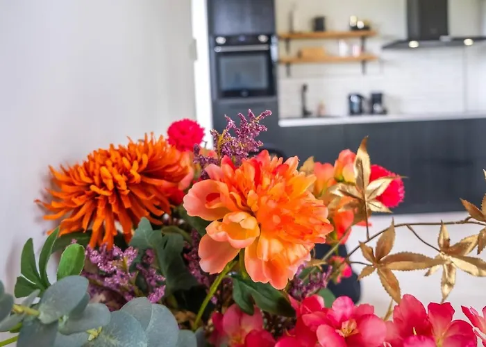 Appartement Veldt's Limmen